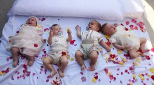 El Colacho Babies Roses
