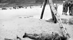 American Casualty On Omaha Beach