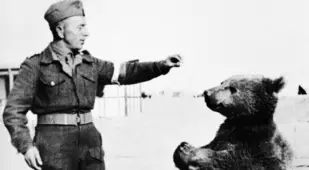Army Mascots Wojtek the Bear