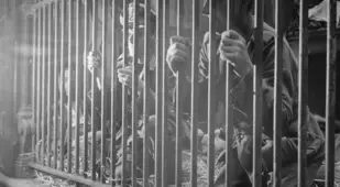 German and Belgian collaborators held in a lion's cage