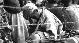 Japanese prisoner of war sits barbed wire