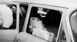Laughing Marilyn Monroe Picture