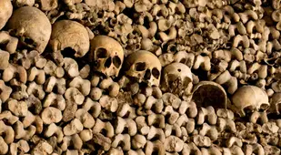 Closeup Of Skulls In The Paris Catacombs