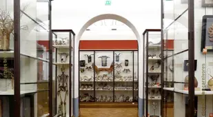 Musée Fragonard