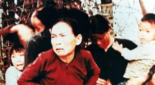 Pictures From The My Lai Massacre