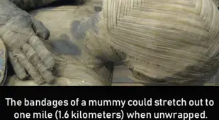 Bandages Of Mummies