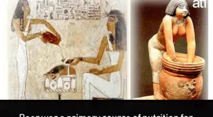 Drinking Beer Ancient Egypt Facts