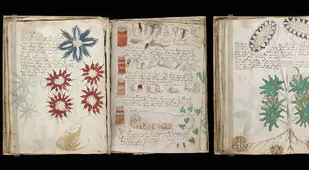 Archaeological discoveries Voynich Manuscript pages