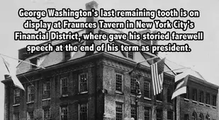 George Washington Tooth New York Facts