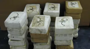 Cocaine Bricks
