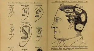Phrenology Ear Chart