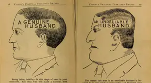 Genuine Husband Phrenology Chart