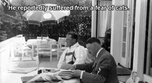 Hitler's Fear Of Cats