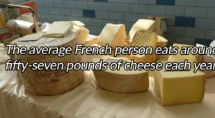 Blocks Of Cheese