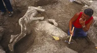 Bodies From Pompeii