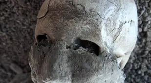 Face Of Pompeii Mummy