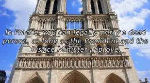 Interesting Facts About France
