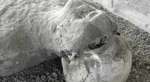Bodies Of Pompeii