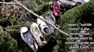 Shoes In Suicide Forest