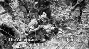 Vietnam War Facts