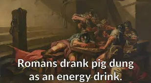 Romans Drank Pig Dung