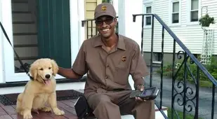 UPS Delivery Man And Golden Retriever Puppy