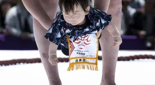 Baby Sumo