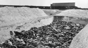 Bergen Belsen Concentration Camp Mass Grave Close Up