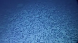Rocky Sea Floor In Challenger Deep
