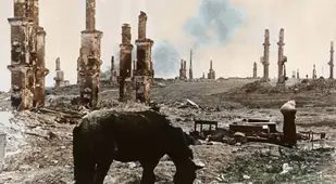 A Horse Grazes Around Ruins Of War