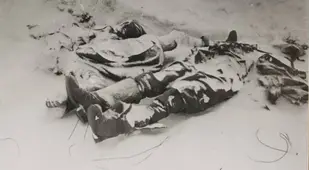 Dead Bodies Buried In Snow In Stalingrad