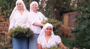 Three Nuns With Baskets Of Weed