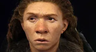 Neanderthal Woman Facial Reconstruction
