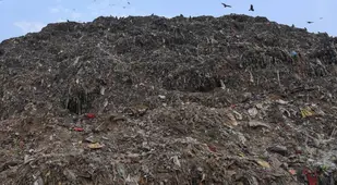 New Delhi Ghazipur Landfill