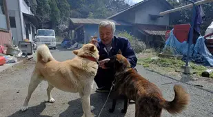 Matsumoto Pets Dogs