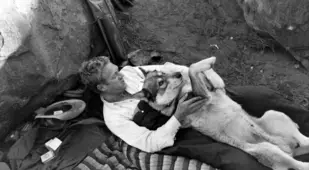 Steve Mcqueen And His Dog