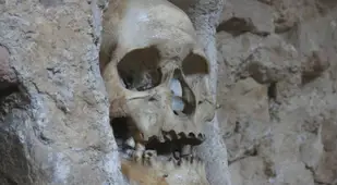 Skull At Niš Tower