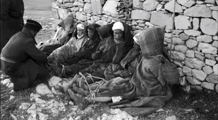 Algerian Prisoners Of War
