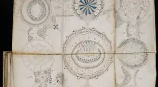 Folded Out Pages Of The Voynich Manuscript