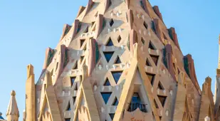 Pinecone Feature Of Sagrada Familia