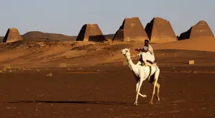 Man Riding Camel At Meroe