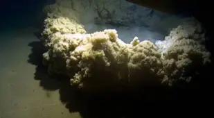Billowing Sand In Challenger Deep