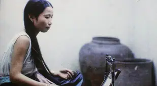 Hanoi Woman