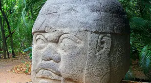 La Venta Olmec Head