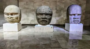 Museum Olmec Heads