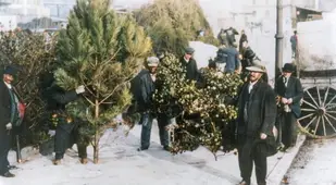 Men Selling Christmas Trees