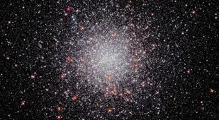 Stellar Swarm