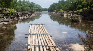 Bamboo Walkway At Nan Madol