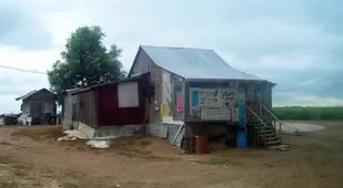 Po' Monkey's Juke Joint