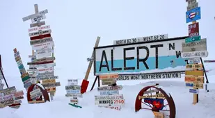 Alert Sign